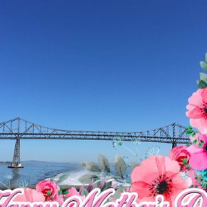 Meet your Posher, Rosa